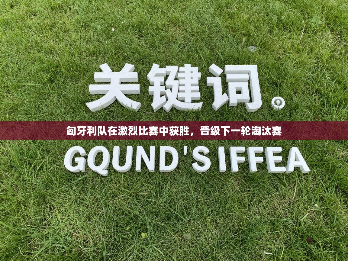 匈牙利队在激烈比赛中获胜，晋级下一轮淘汰赛